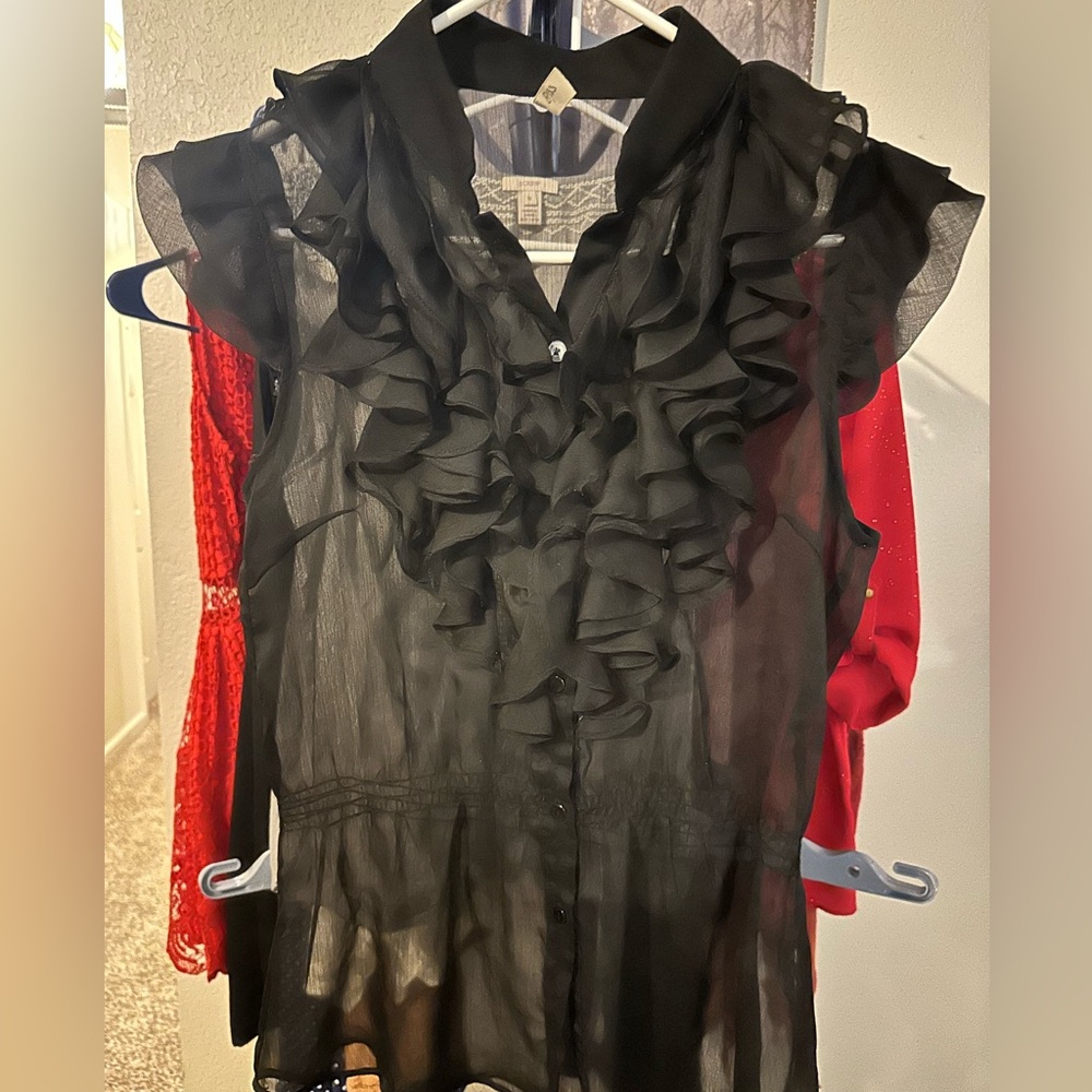 Sheer, black blouse. Ruffled button down front.